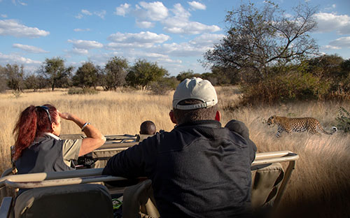 leopard tracking and viewing in Namibia