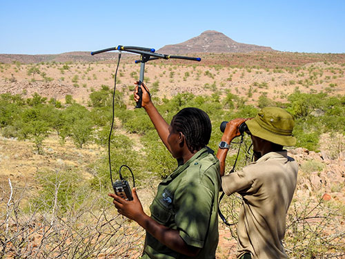 Namibian Lion Trust Lion Guards on patrol